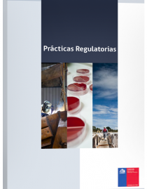 Practicas_Regulatorias